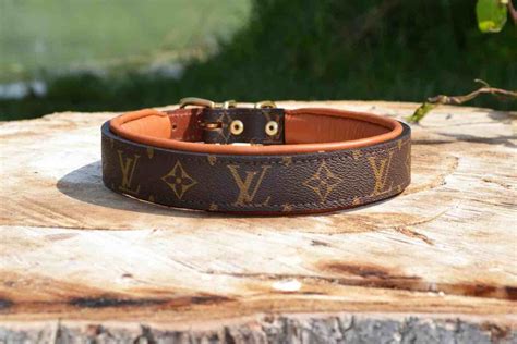 louis vuitton inspired dog collar|Louis Vuitton dog collar sizes.